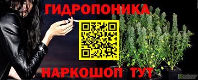 скорость Пенза